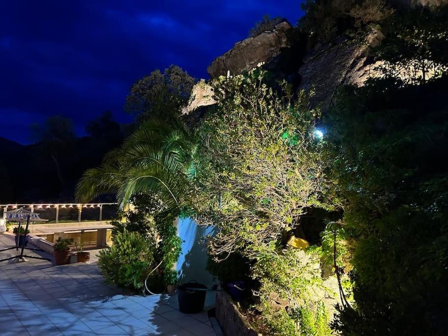 Casaleo Harry - Roses / Costa Brava Lejlighed Eksteriør billede